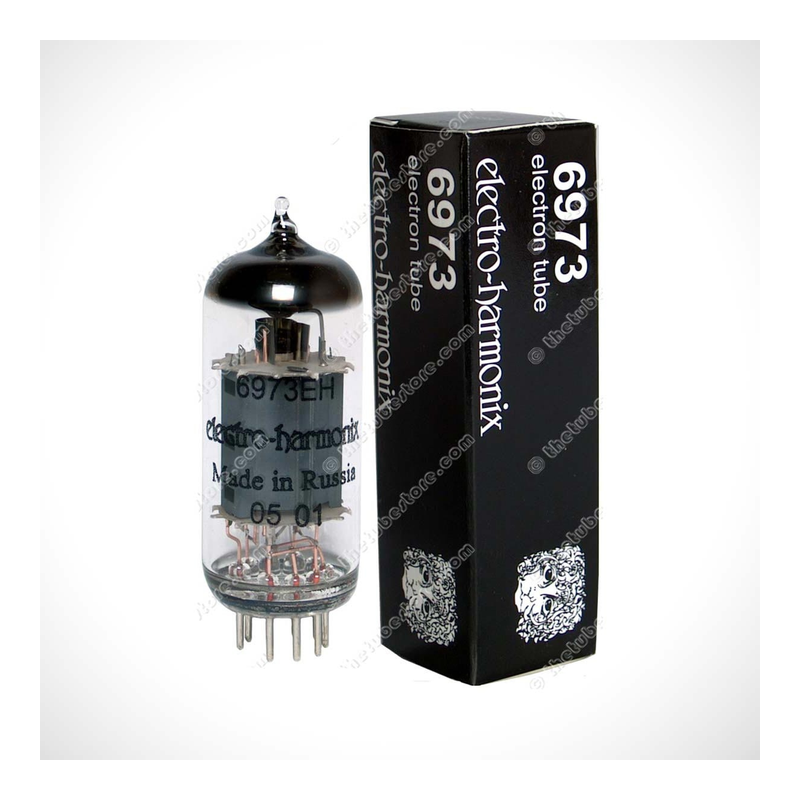 6973 vacuum tube photo 1